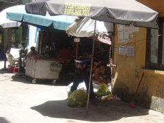 Ảnh bìa bài viết 305836