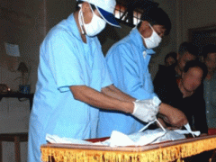 Ảnh bìa bài viết 305902