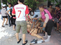 Ảnh bìa bài viết 306014