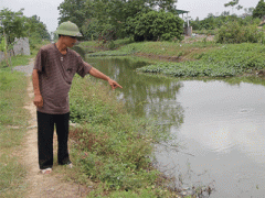 Ảnh bìa bài viết 305936