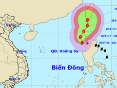 Ảnh bìa bài viết 306083