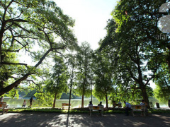 Ảnh bìa bài viết 306114