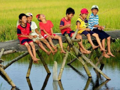 Ảnh bìa bài viết 306123