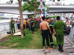 Ảnh bìa bài viết 306215