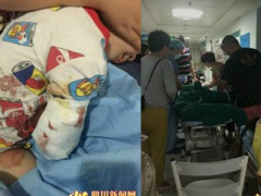 Ảnh bìa bài viết 306156
