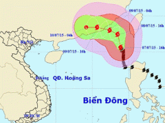 Ảnh bìa bài viết 306400