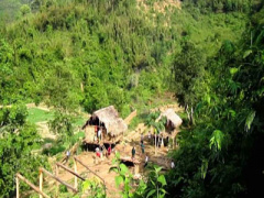 Ảnh bìa bài viết 306225