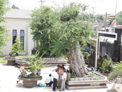Ảnh bìa bài viết 306344