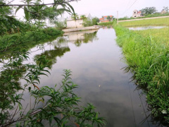 Ảnh bìa bài viết 306519