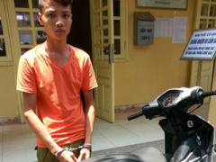 Ảnh bìa bài viết 306556