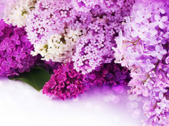 Ảnh bìa bài viết 306607