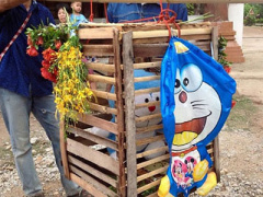 Ảnh bìa bài viết 306760