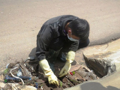 Ảnh bìa bài viết 306891
