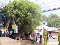 Ảnh bìa bài viết 306886