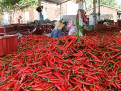 Ảnh bìa bài viết 306919