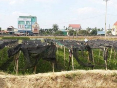 Ảnh bìa bài viết 306836