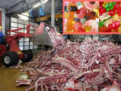 Ảnh bìa bài viết 306800