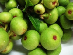 Ảnh bìa bài viết 306978