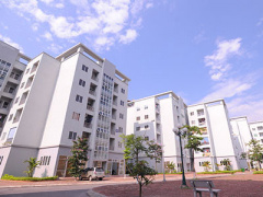 Ảnh bìa bài viết 307275