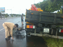 Ảnh bìa bài viết 307354