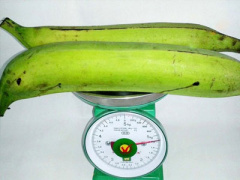 Ảnh bìa bài viết 307323