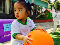 Ảnh bìa bài viết 307680