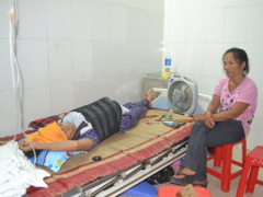 Ảnh bìa bài viết 307649