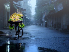 Ảnh bìa bài viết 307780