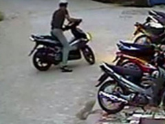 Ảnh bìa bài viết 307849
