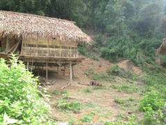 Ảnh bìa bài viết 308066