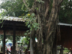Ảnh bìa bài viết 308177
