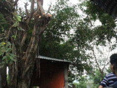 Ảnh bìa bài viết 308216