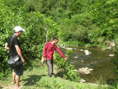 Ảnh bìa bài viết 308301