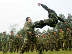 Ảnh bìa bài viết 308465