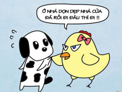 Ảnh bìa bài viết 308401