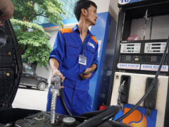 Ảnh bìa bài viết 308428