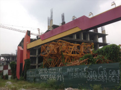Ảnh bìa bài viết 308565