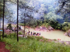 Ảnh bìa bài viết 308530