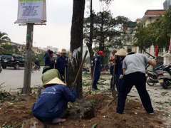 Ảnh bìa bài viết 308585