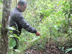 Ảnh bìa bài viết 308692