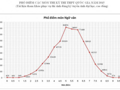 Ảnh bìa bài viết 309181