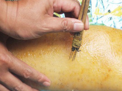 Ảnh bìa bài viết 309153