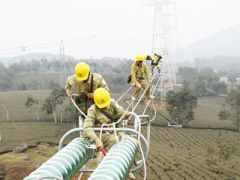 Ảnh bìa bài viết 309182