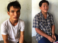 Ảnh bìa bài viết 309354