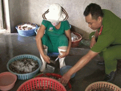 Ảnh bìa bài viết 309428