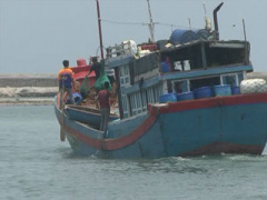Ảnh bìa bài viết 309565