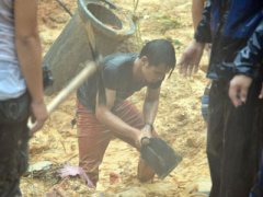 Ảnh bìa bài viết 309715