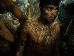 Ảnh bìa bài viết 309643