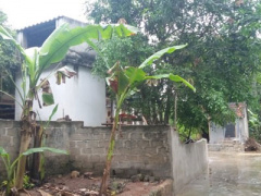 Ảnh bìa bài viết 309728