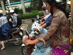 Ảnh bìa bài viết 309939